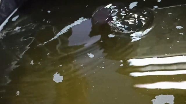 Кормление клубники через инжектор Вентури смотреть онлайн