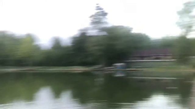 20.06.2018 Савельево Ольгово вечерний клев - он такой смотреть онлайн