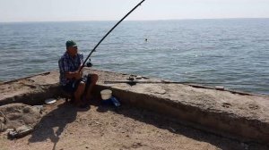 Показал мастер класс по ловле пеленгаса в Седово!Рыбалка на море!