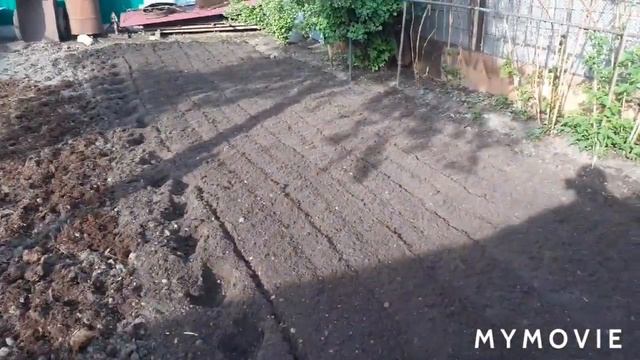 Культивирую Кайманом перегной смотреть онлайн