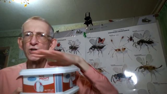 Безжальные Пчелы - Кто Они? Где Живут? Почему Не Жалят? ЧАСТЬ-2. смотреть онлайн