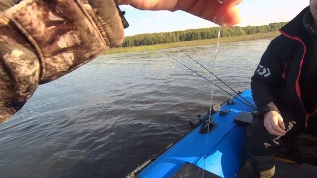 06.09.20г Ловим щучку на КРУЖКИ, в,, ГУЗОМОЕ ''. Столько сработок мне и не снилось!!! смотреть онлайн