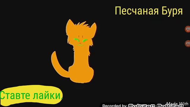 Коты воители Песчаная Буря и Огнезвёзд Если ты меня не любишь. смотреть онлайн