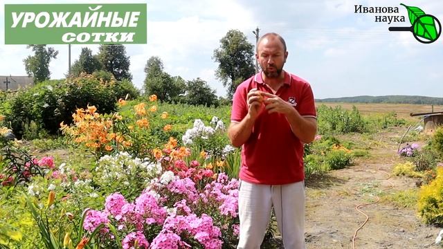 НЕ РВИТЕ ЗЕЛЕНЫМИ, А РВИТЕ... ВОТ ТАКИМИ! Вы точно кое-что из этого не знали! смотреть онлайн