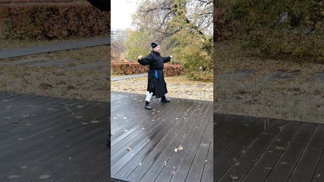 Традиционное у шу. Сяо ши тай цзи цюань смотреть онлайн