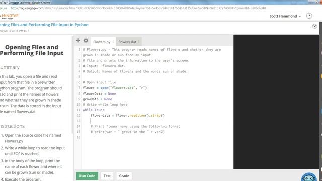 COP1000 Opening Files and Performing File Input in Python смотреть онлайн