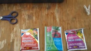 Стимулируем корневую систему препаратом радифарм. Обзор рассады огурца.