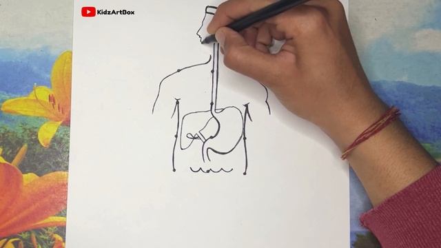 12 dots की मदद से human digestive system labelled diagram class 10 || मानव पाचन तंत्र चित्र смотреть онлайн