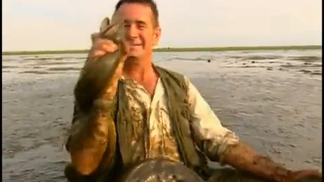 Man Fights and Defeats Anaconda смотреть онлайн