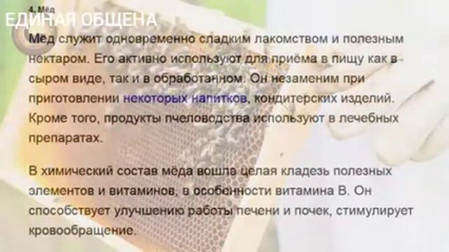 Любимый фрукты пророка Мухаммада с.а.в смотреть онлайн