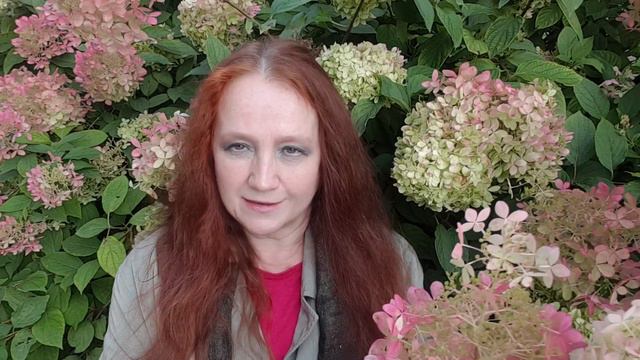 Сеятель смотреть онлайн