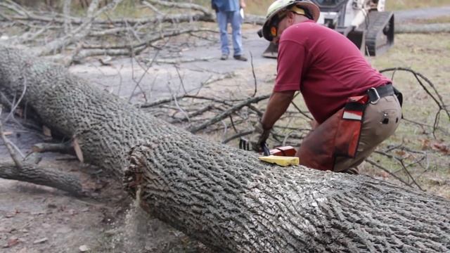 Grading Logs смотреть онлайн