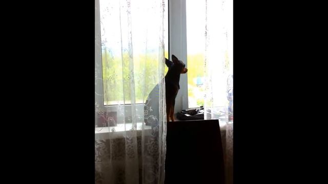 Тоска-печаль меня съедает.... смотреть онлайн