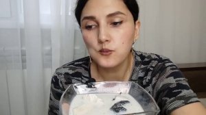 Чародейка• Белый слон• Строй мат• Голубая узбекская - В МОЛОКЕ!