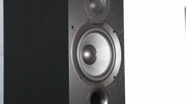 ELAC DEBUT 2.0 B6.2 | slow mo | GH6 120fps | Bass I Love You смотреть онлайн