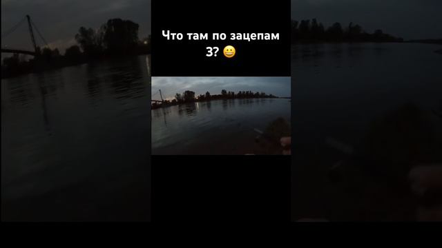 Что там по зацепам 3?! #angeln #рыбалка #fishing #природа #отдых #рыбак #спиннинг #река смотреть онлайн