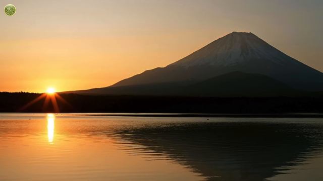 Удивительная история рождения Абу Ханифы смотреть онлайн