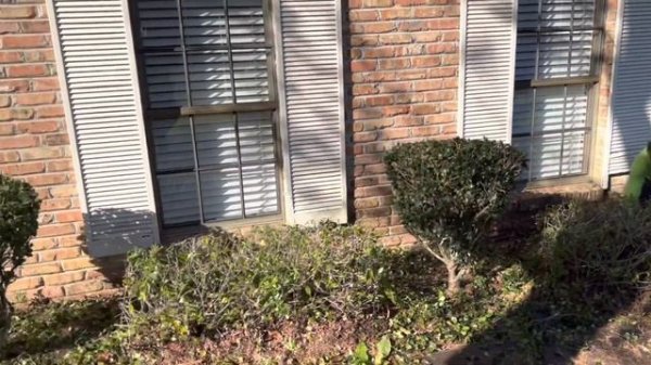 OVERGROWN FRONT YARD CLEANUP-GARDEN BED MAKEOVER