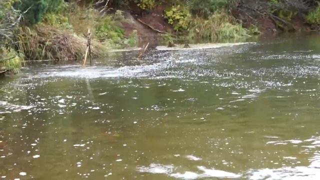 Камчатка. Опала. 1 половина сентября 2012. Верхнеопальские горячие источники смотреть онлайн