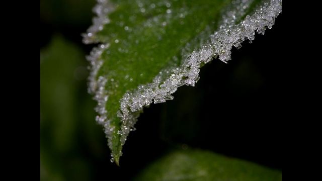 7artisans 60mm f 2 8 Macro - Можно Брать ! смотреть онлайн