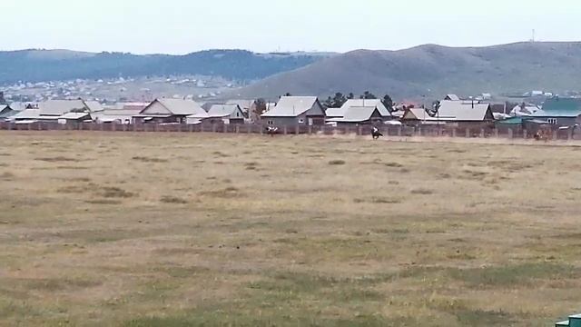 2000м для лошадей 4х лет и старше полукр пород в Заб крае. 1м Сорванец. 2м Вавилон. 3м Фарлэп смотреть онлайн