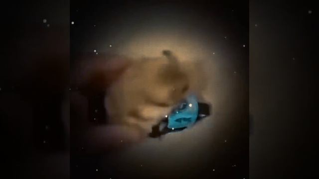 мемчики #2 смотреть онлайн