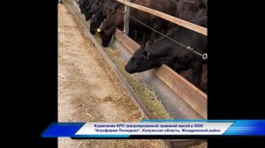 Кормление КРС гранулированной травяной мукой