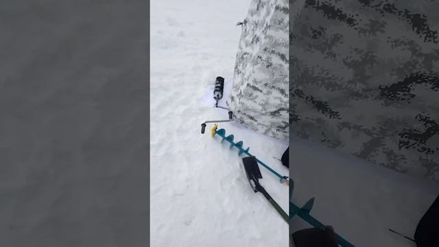 Ловля корюшки в октябрьском смотреть онлайн