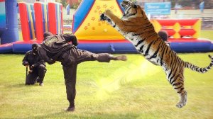 6 СЛУЧАЕВ КОГДА ЧЕЛОВЕК ПОБЕДИЛ ХИЩНИКА! | RISEME