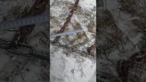 Цепи на МТЗ . Размеры. Изготовление