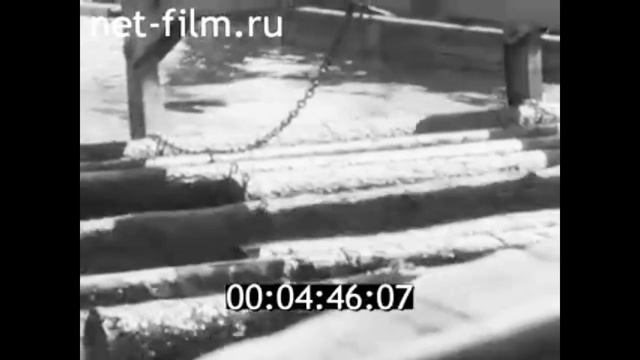 1970г. Ильинский рейд. Олонецкий леспромхоз. Карелия. смотреть онлайн