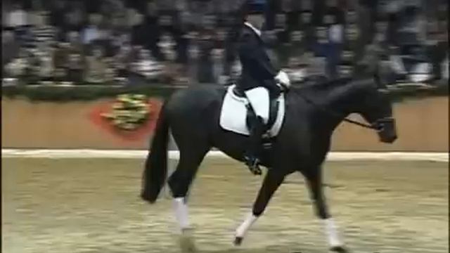Surprice - Elite Stallions смотреть онлайн