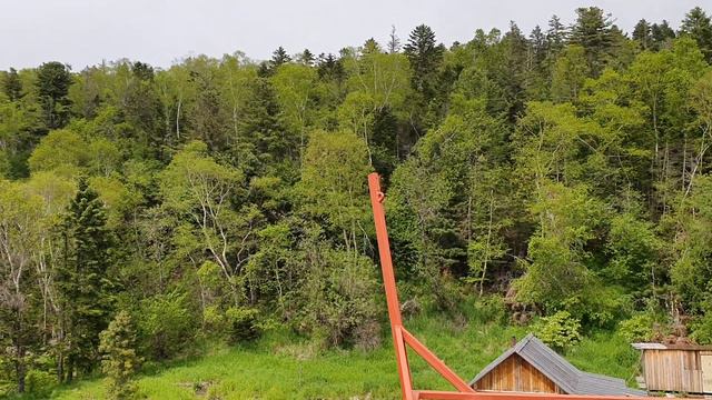 Обзор базы "Дом Тайменя" на Нельме смотреть онлайн