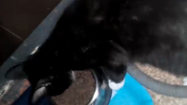 8 июня 2016 г. смотреть онлайн