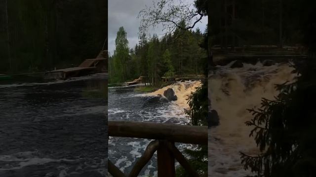 2022-11-16 смотреть онлайн