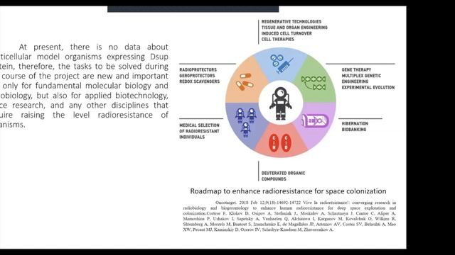 Е. Кравченко "Изучение радиопротекторных свойств..." / E. Kravchenko "Study of Radioprotective..." смотреть онлайн