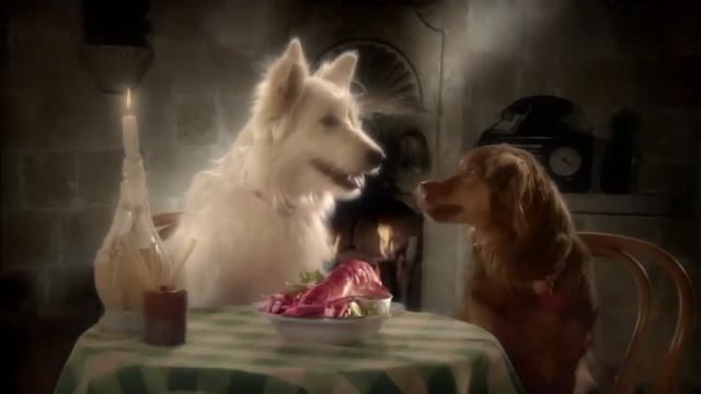 A dog love story - creative Citroen C3 Ad смотреть онлайн