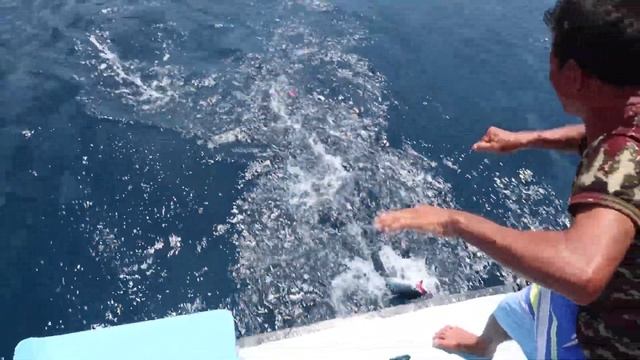 Рыбалка на Пхукете, Sea fishing Phuket charter. смотреть онлайн
