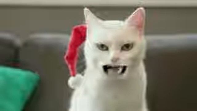 котя! тест на психику ! кто засмеётся тот псих ахахаха смотреть онлайн