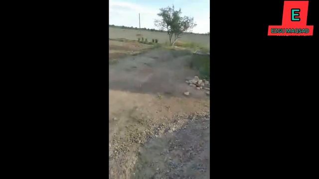ПРЕЗИДЕНТГА МУРОЖАТ.БУХОРО ВИЛОЯТИ ЖОНДОР ТУМАНИ. смотреть онлайн