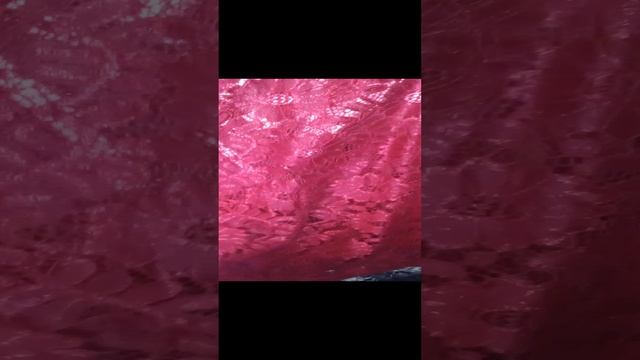 VID_20230802_045412 смотреть онлайн