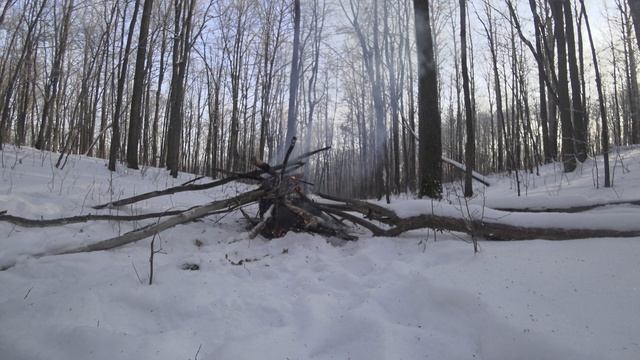 (4к)РЕЛАКСАЦИЯ у костра в зимнем лесу без ТОПОРА для УСПОКОЕНИЯ и для СНА!