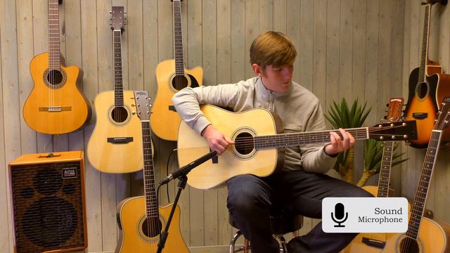 Santana ST-300WD acoustic guitar with Fishman pickup смотреть онлайн