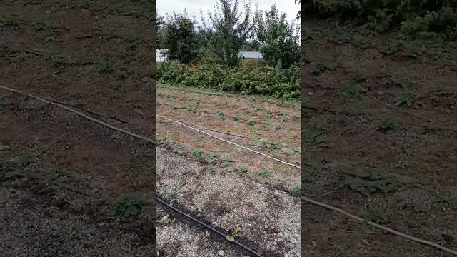 измельчитель веток, щепорез, веткорез, станок для рубки веток смотреть онлайн