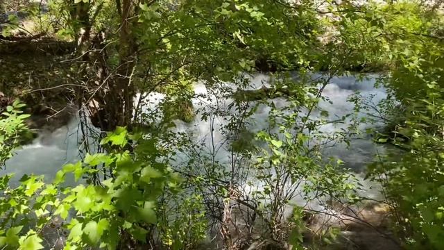 Uzbekistan. Чимган-Чарвак-Испай. Поездка в горы. смотреть онлайн