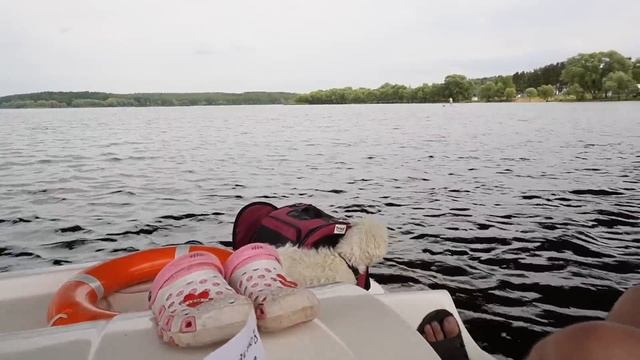 24 ЧАСА В ОЗЕРЕ РУСАЛОК НА КАТАМАРАНЕ С КОТОМ И СОБАКОЙ | ЗАСТРЯЛИ В ОТКРЫТОМ МОРЕ