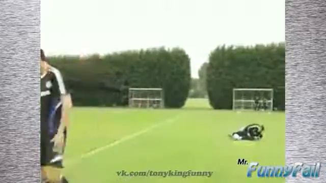 1 Видео прикольно Как собака игралась со шлангом, думая что это змея Приколы с животными смотреть онлайн