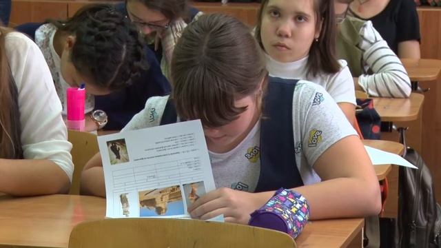 ШКОЛЬНЫЕ ОЛИМПИАДЫ смотреть онлайн