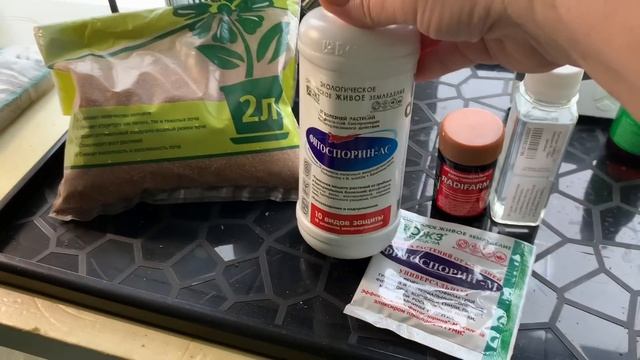 Чем пользуюсь , для выращивания рассады. Часть 1. смотреть онлайн
