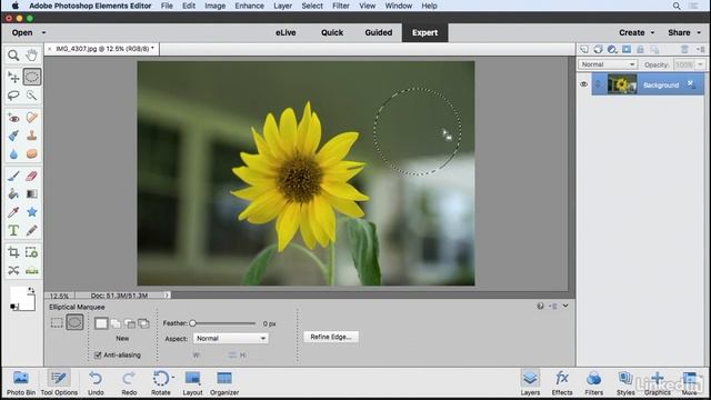 Photoshop Elements Tutorial - Selections and the selection tools смотреть онлайн